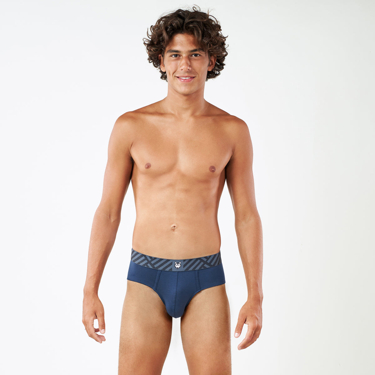 Luxury Modal Brief - Teal Navy